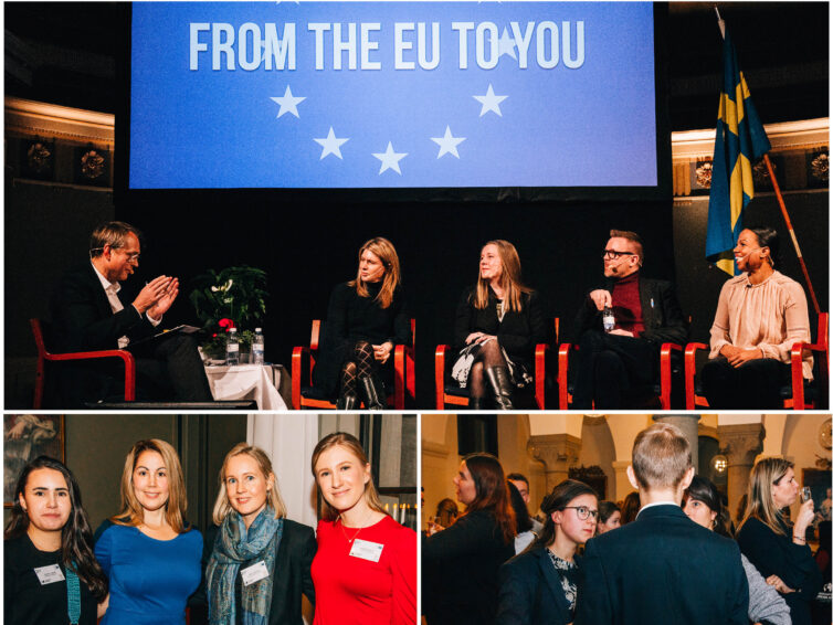 Vår Talk Show “From the EU to You” blev en succé!
