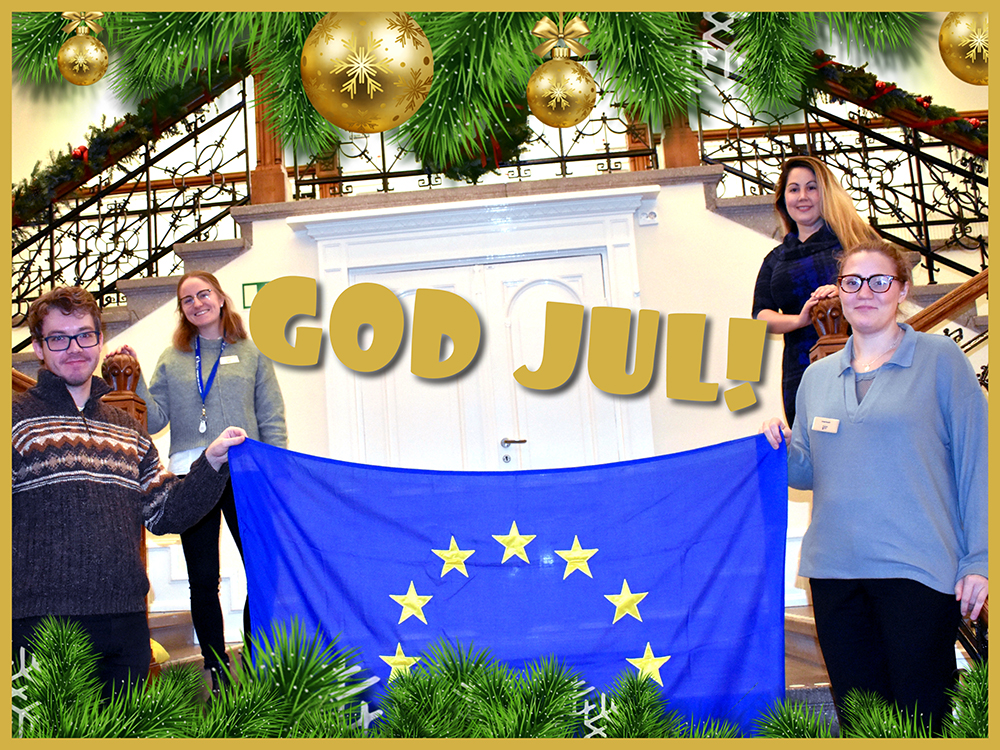 Julhälsning från Europa Direkt teamet